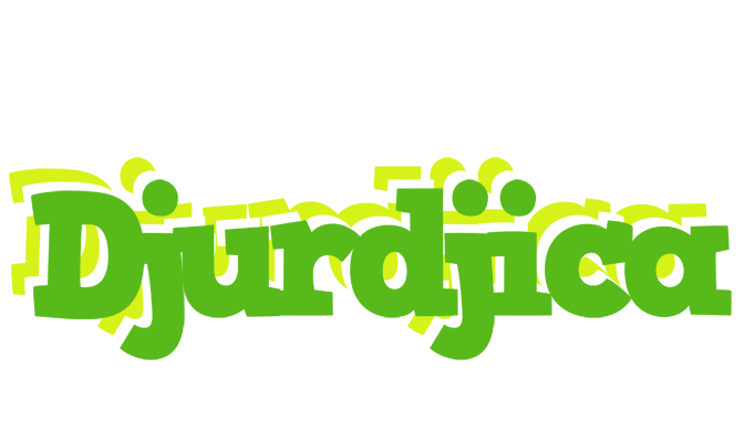 Djurdjica picnic logo