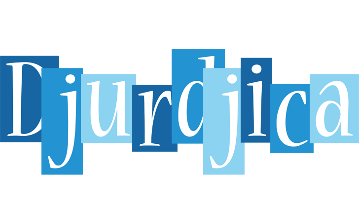 Djurdjica winter logo