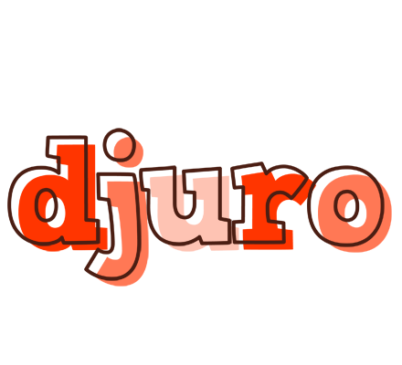 Djuro paint logo