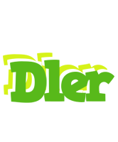 Dler picnic logo
