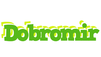 Dobromir picnic logo