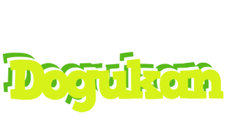 Dogukan citrus logo