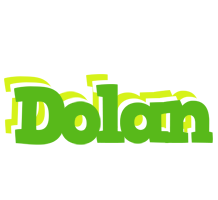 Dolan picnic logo