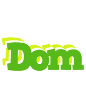 Dom picnic logo