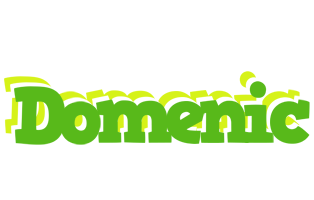 Domenic picnic logo