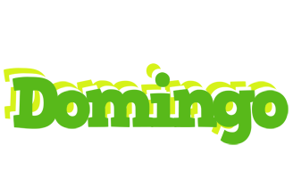 Domingo picnic logo
