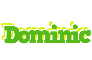 Dominic picnic logo