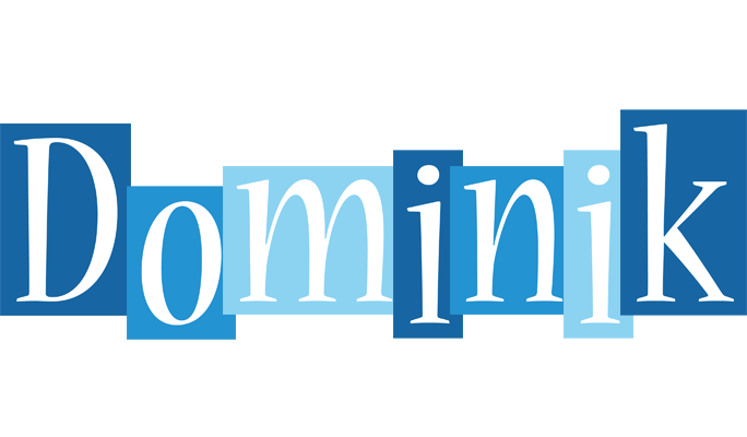 Dominik winter logo