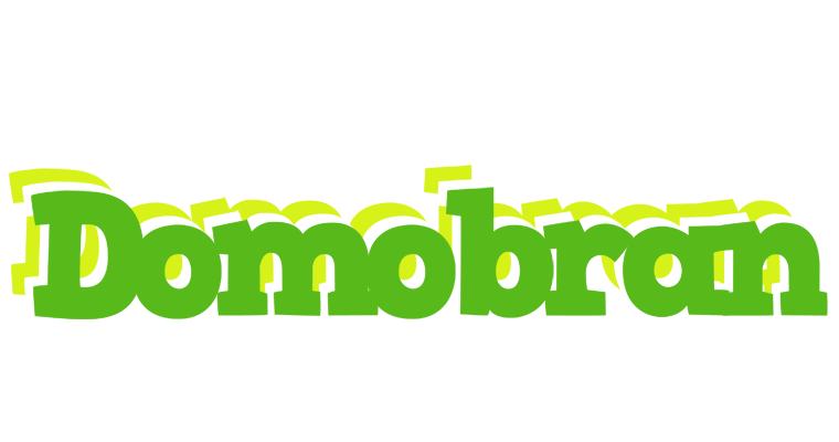 Domobran picnic logo