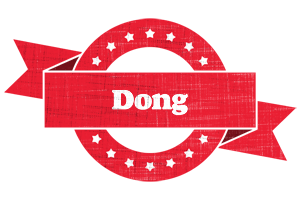 Dong passion logo