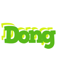 Dong picnic logo