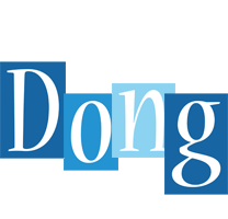 Dong winter logo
