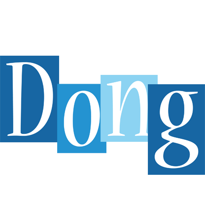 Dong winter logo