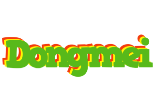 Dongmei crocodile logo