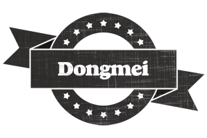 Dongmei grunge logo