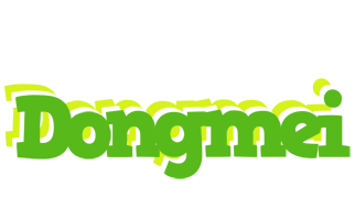 Dongmei picnic logo