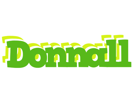 Donnall picnic logo