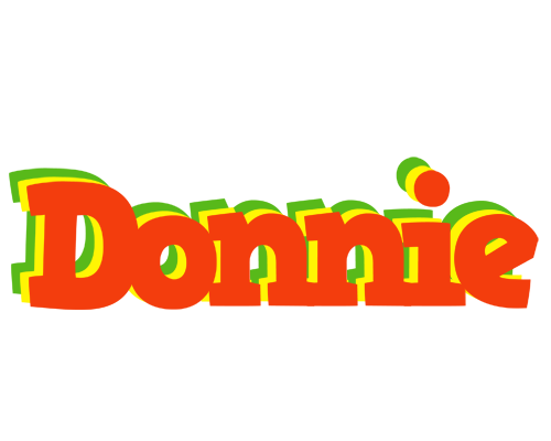 Donnie bbq logo