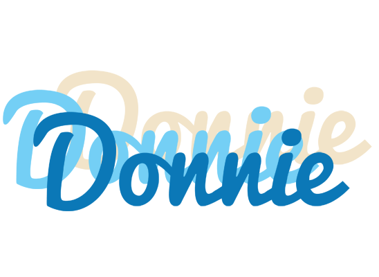 Donnie breeze logo