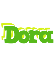 Dora picnic logo