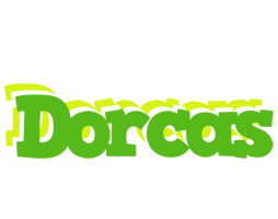 Dorcas picnic logo