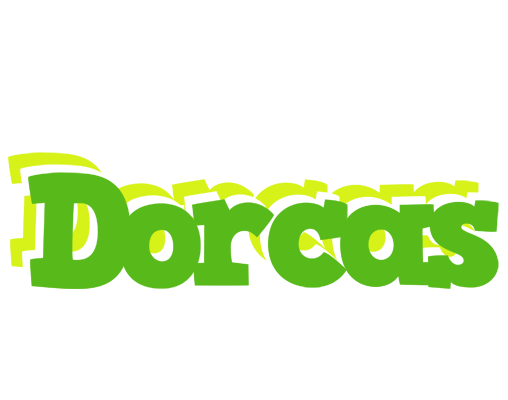 Dorcas picnic logo