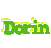 Dorin picnic logo