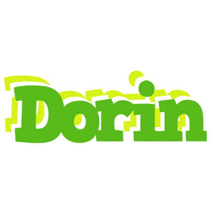 Dorin picnic logo