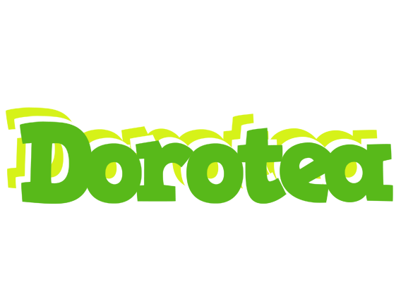 Dorotea picnic logo