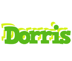 Dorris picnic logo