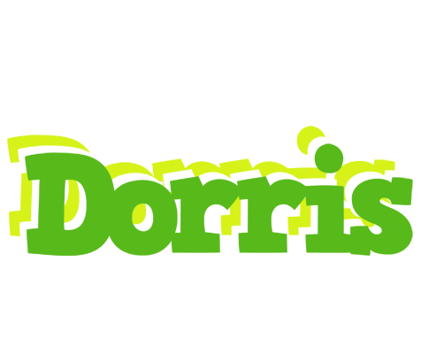 Dorris picnic logo