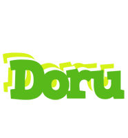 Doru picnic logo