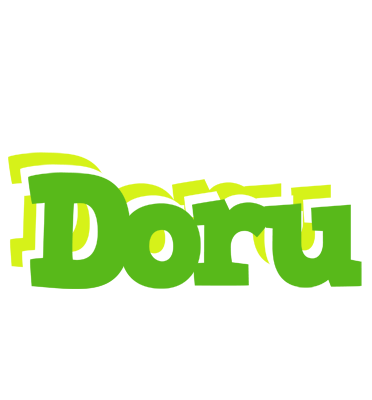 Doru picnic logo