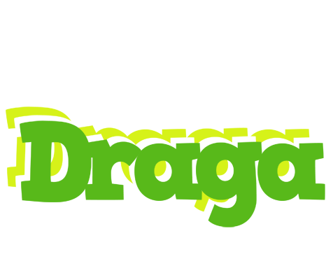 Draga picnic logo