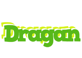 Dragan picnic logo