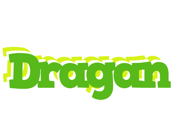 Dragan picnic logo