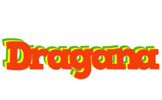 Dragana bbq logo