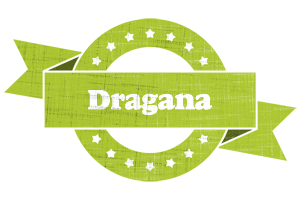 Dragana change logo