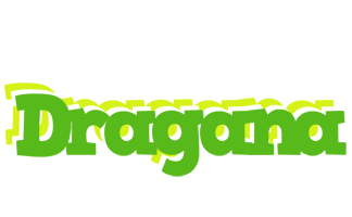 Dragana picnic logo