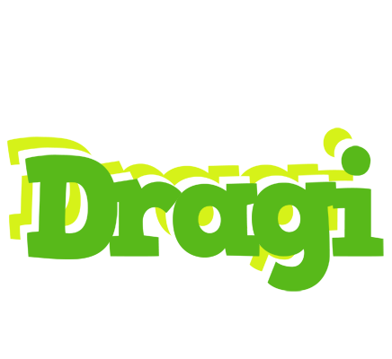 Dragi picnic logo