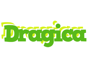 Dragica picnic logo