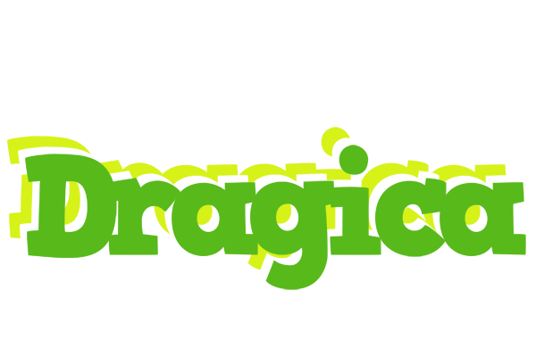 Dragica picnic logo