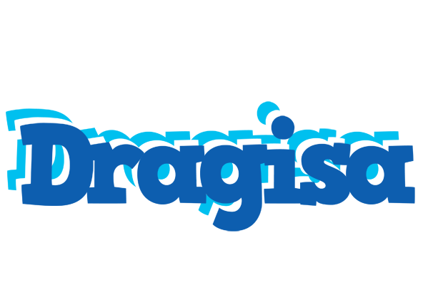 Dragisa business logo