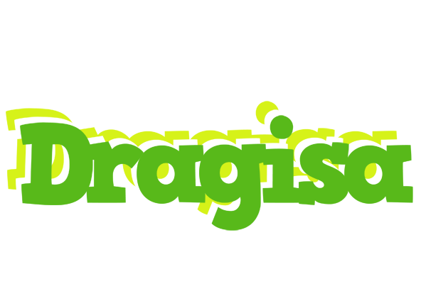Dragisa picnic logo