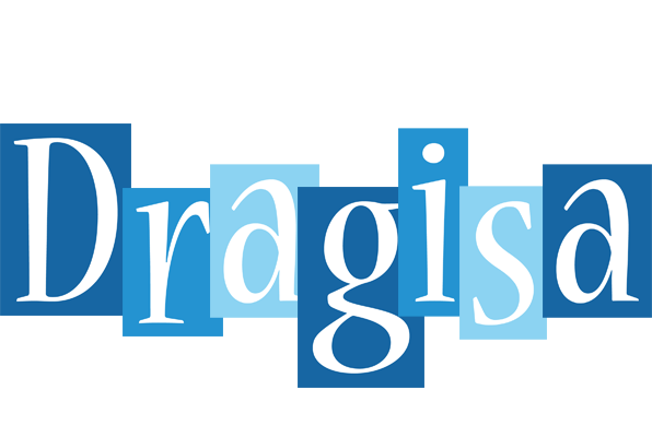 Dragisa winter logo