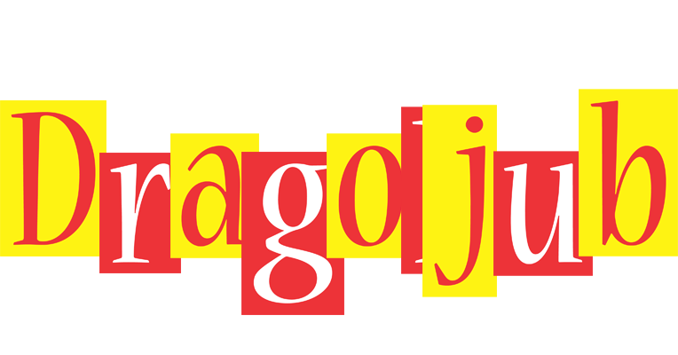 Dragoljub errors logo