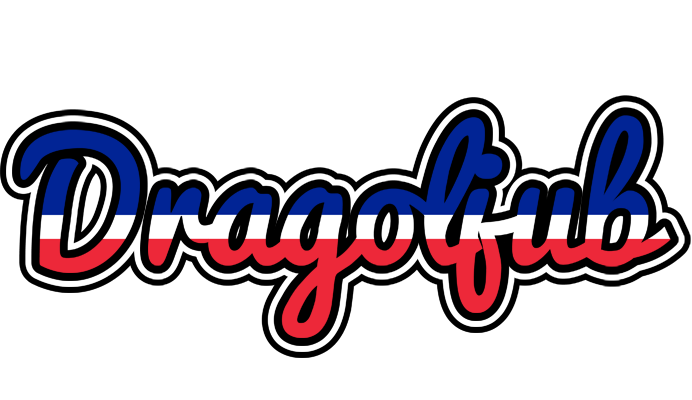 Dragoljub france logo