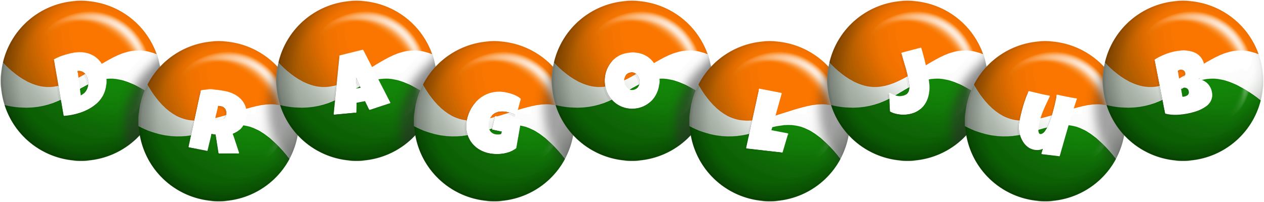 Dragoljub india logo