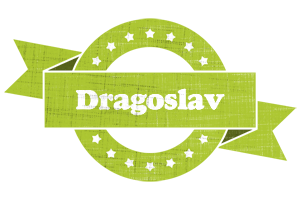 Dragoslav change logo