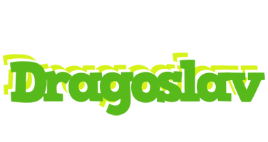 Dragoslav picnic logo